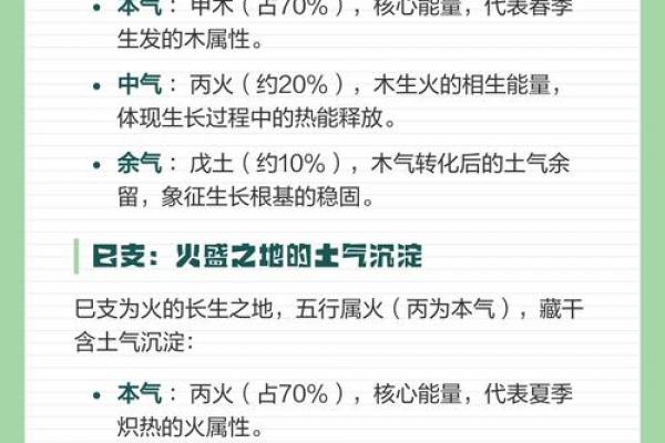 十二地支寅木详解