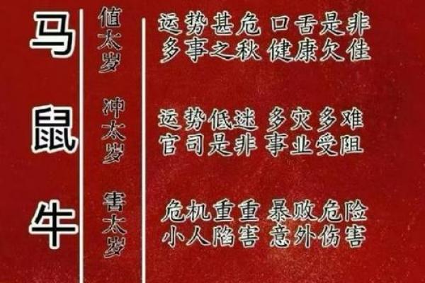 2026丙午年属鼠者需规避事项