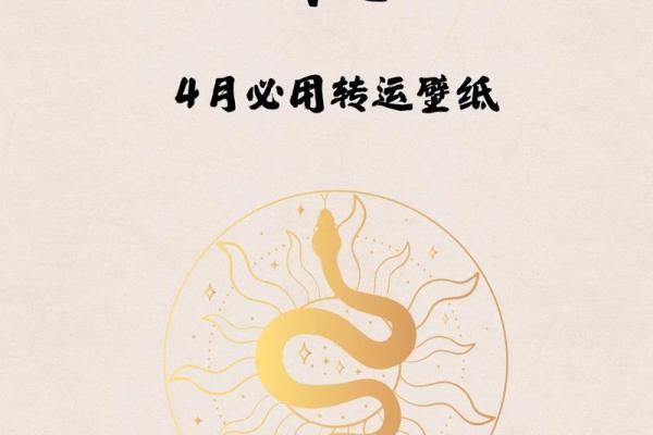 深入理解属蛇人永久吉利的颜色