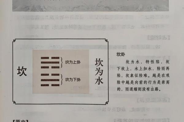 水马命是否为上等命