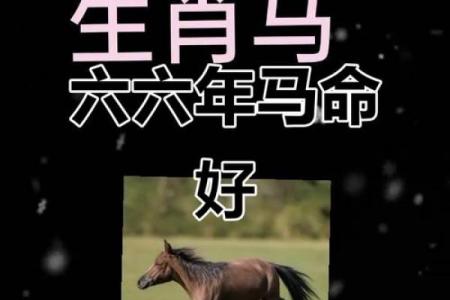 2026年主动追求生肖马女性的是哪个属相