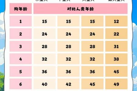 几月出生的狗命劳碌一生