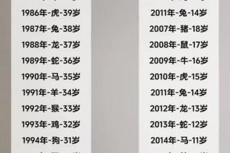 属鼠者离婚年份预测