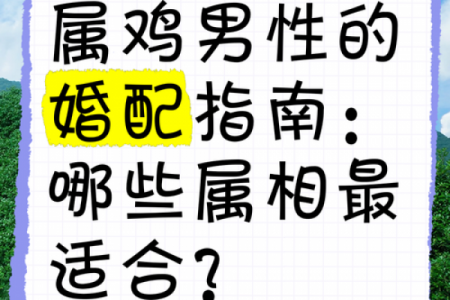 2005年属鸡男性最佳结婚年龄