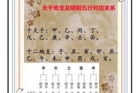 十天干对应人体部位的详细解析