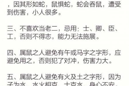 十一月鼠类运势如何