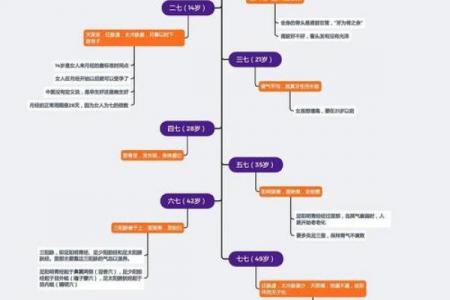 屋上土命女性终身运程解析