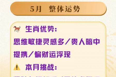 2026年属马人事业运势方向