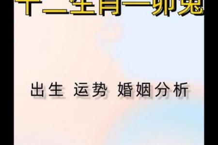 兔一世的贵人是谁