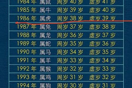 今年属什么生肖年