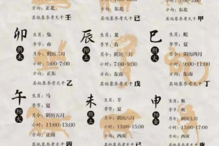 十二地支详解