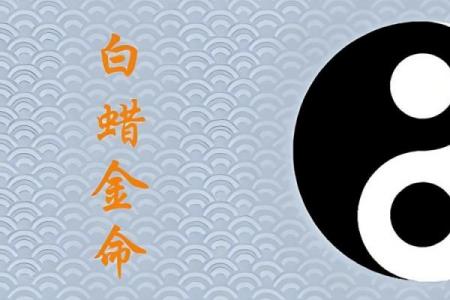 白蜡金命男孩最忌讳什么