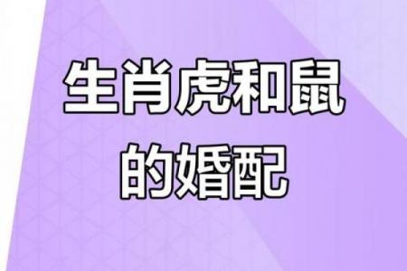 2026属鼠婚姻是否遇第三者及整体走向