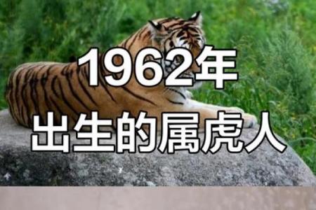 2026年属虎者需回避之人