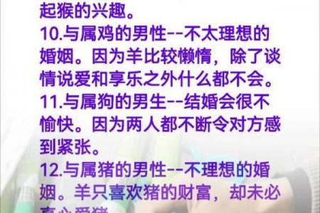 属羊人2026年婚姻运势解析