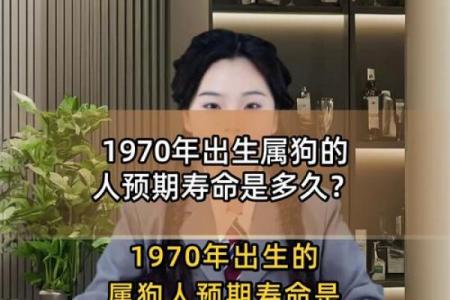 属狗者离婚后是否复婚及其对离婚的看法