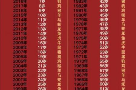 88年龙男命中配偶数量探析