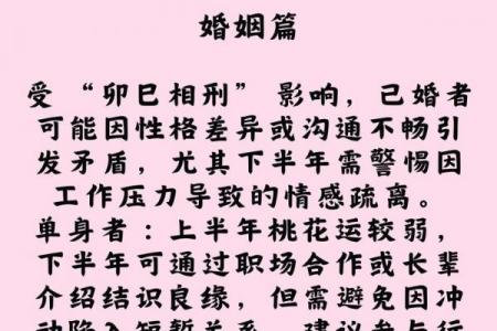 属兔女性的命运吉凶如何，属兔女子一生运势详解