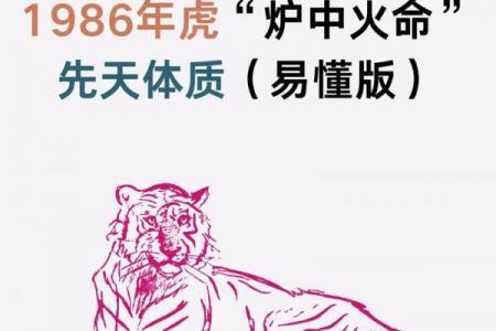 炉中火命是否忌水