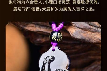 水猴命招财佩戴推荐