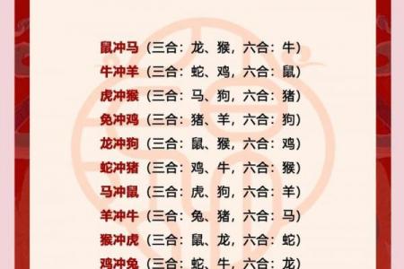 被龙女吃定的生肖