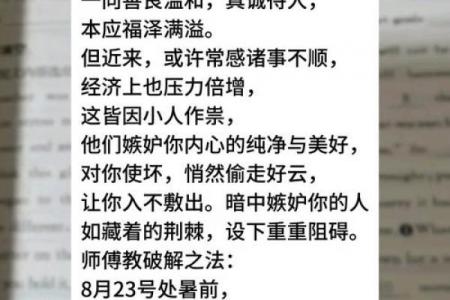 1991年属羊人一生财运解析
