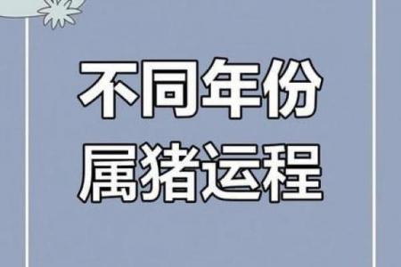 2026年生肖猪上半年运程解析