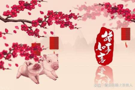 属猪者2026年需警惕哪些事项
