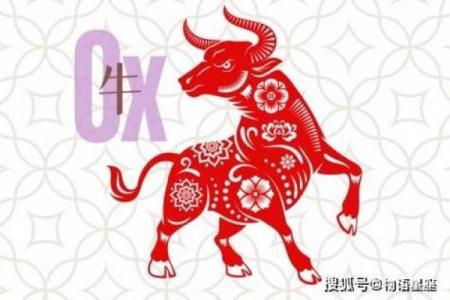 97年属牛者选东户或西户哪个更佳