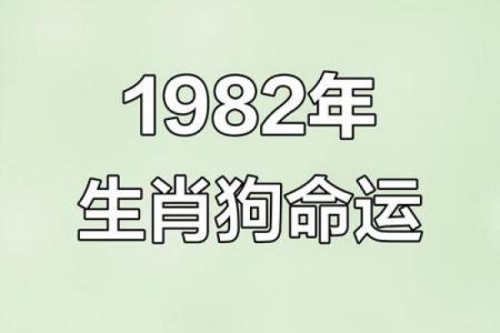 1982年属狗者后半生婚姻运势