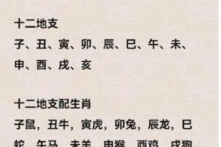 属鼠者36岁起十年运势详解