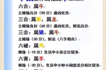 猴与何属相相冲