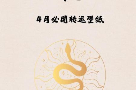 深入理解属蛇人永久吉利的颜色