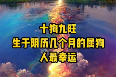 几月出生的属狗女性晚年有福