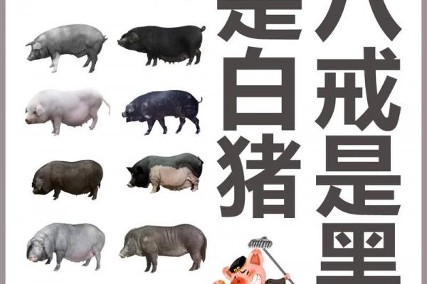 属猪人最厌恶的三位人物是谁
