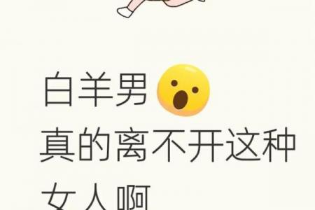 白羊男最离不开的女人类型