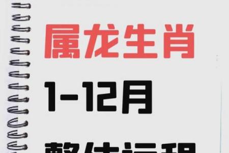 属龙人最旺运的年份