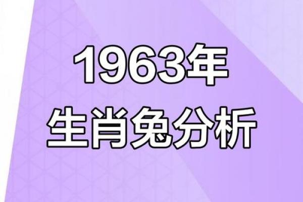属兔2026年面临哪三灾，整体运势如何