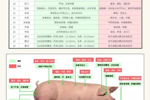 1959年属猪人一生命运解析