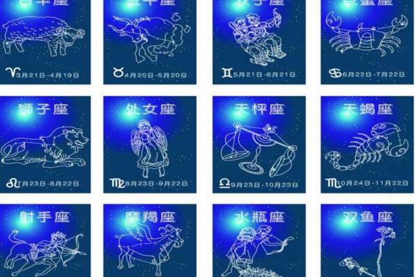 白羊座之后是什么星座