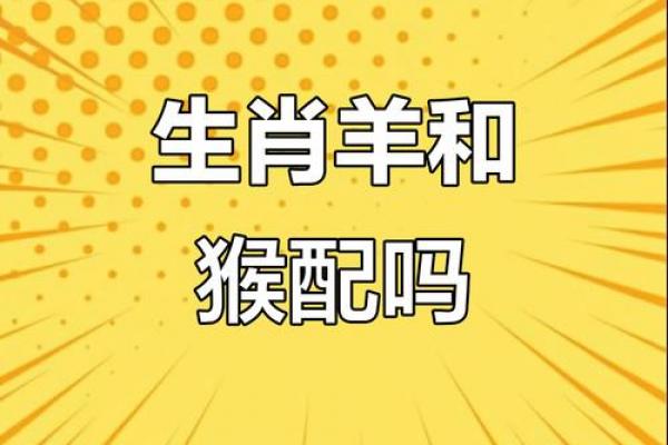 属羊男士难以掌控的生肖女性