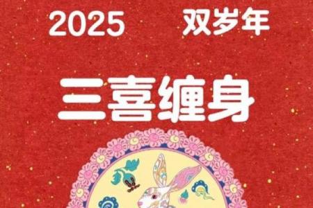 属兔人烂桃花年份