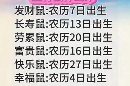 正月出生的老鼠命运如何