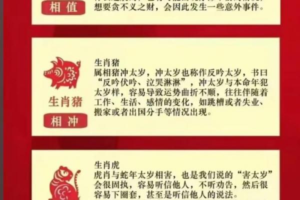 2026年属猪者运势最佳的朝向