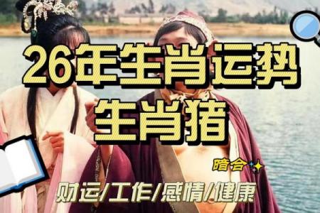 属猪者2026年婚姻运势解析