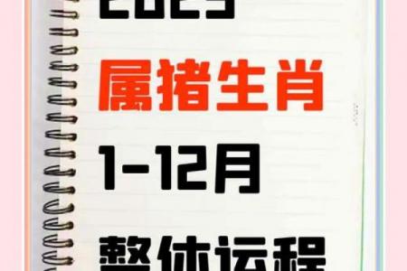 属猪哪个月出生福气最旺，属猪者几月降生为上等命格