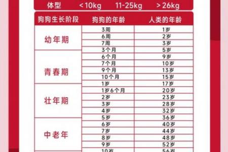 属狗人最旺运的年份