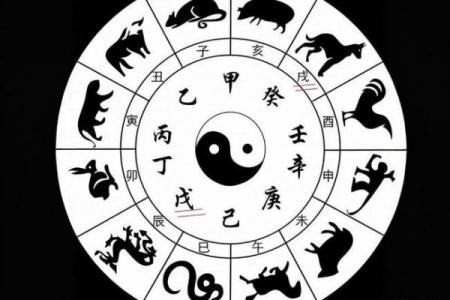 水虎命是否为上等命
