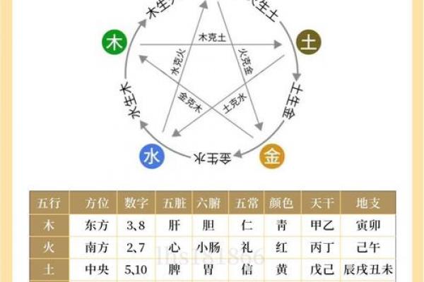 火蛇命五行缺什么需补什么