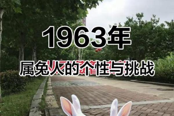 土兔命富贵还是贫穷